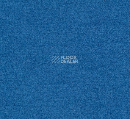 Ковровая плитка Interface Polichrome Solid 4266011 Daphne фото 1 | FLOORDEALER